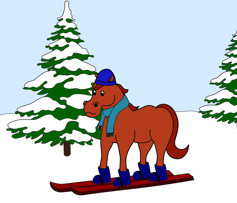 stage d'hivers Equitation